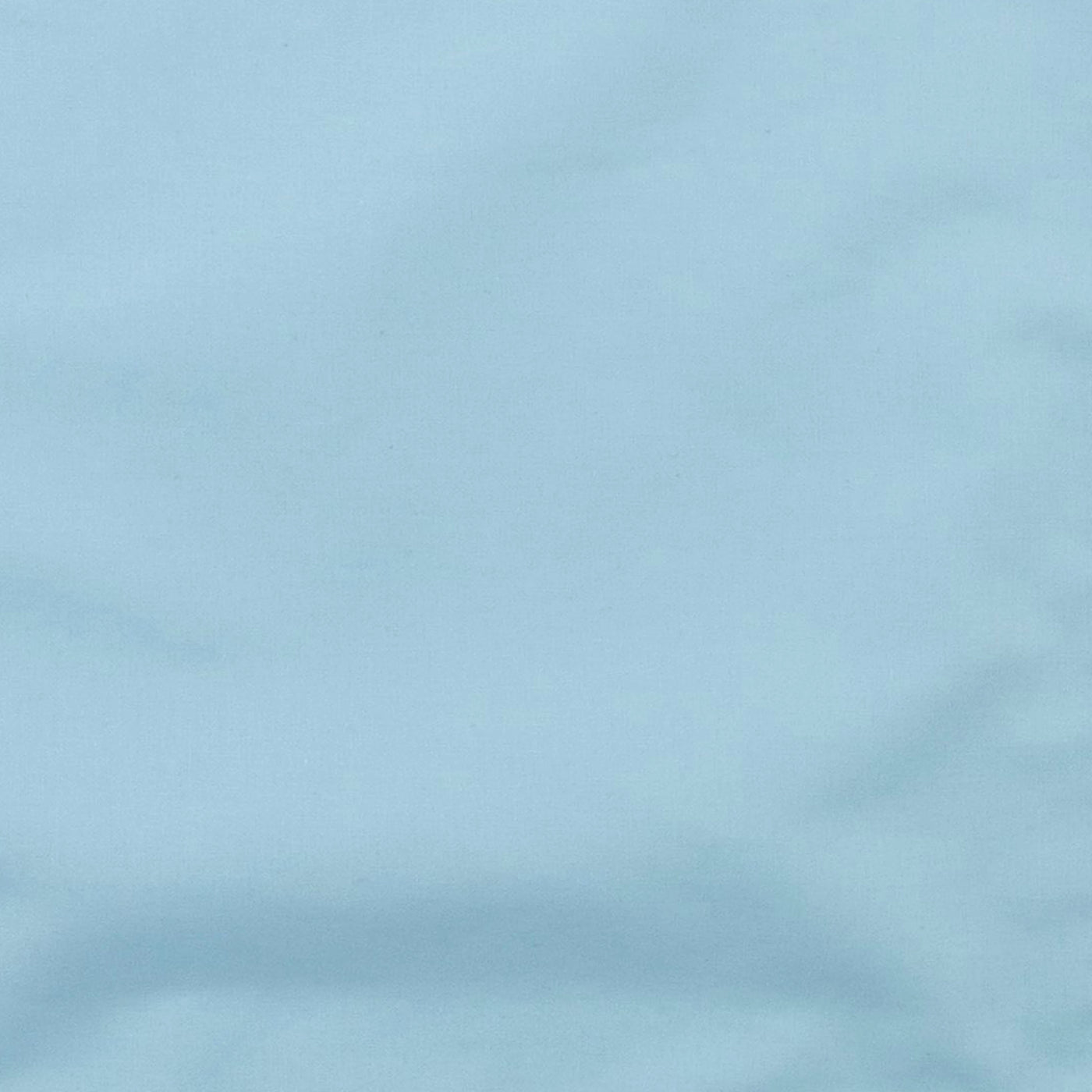 Day Blue Rag - with Bag