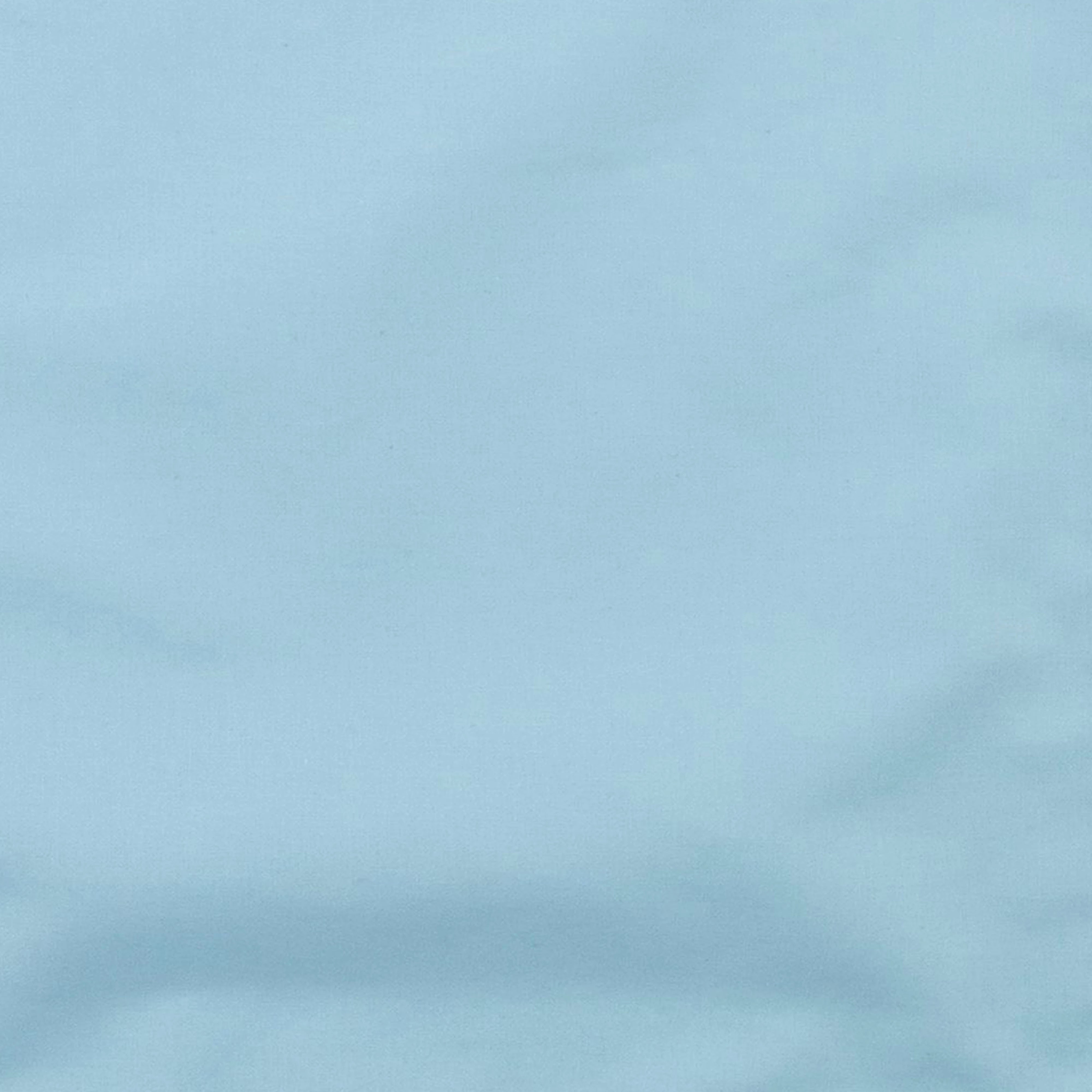 Day Blue Rag - with Bag