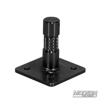 2-Inch Baby Nail On Plate - Black Zinc