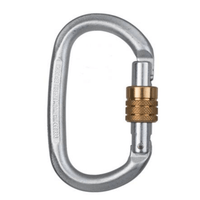 CMI Steel Oval Screw Gate Carabiner